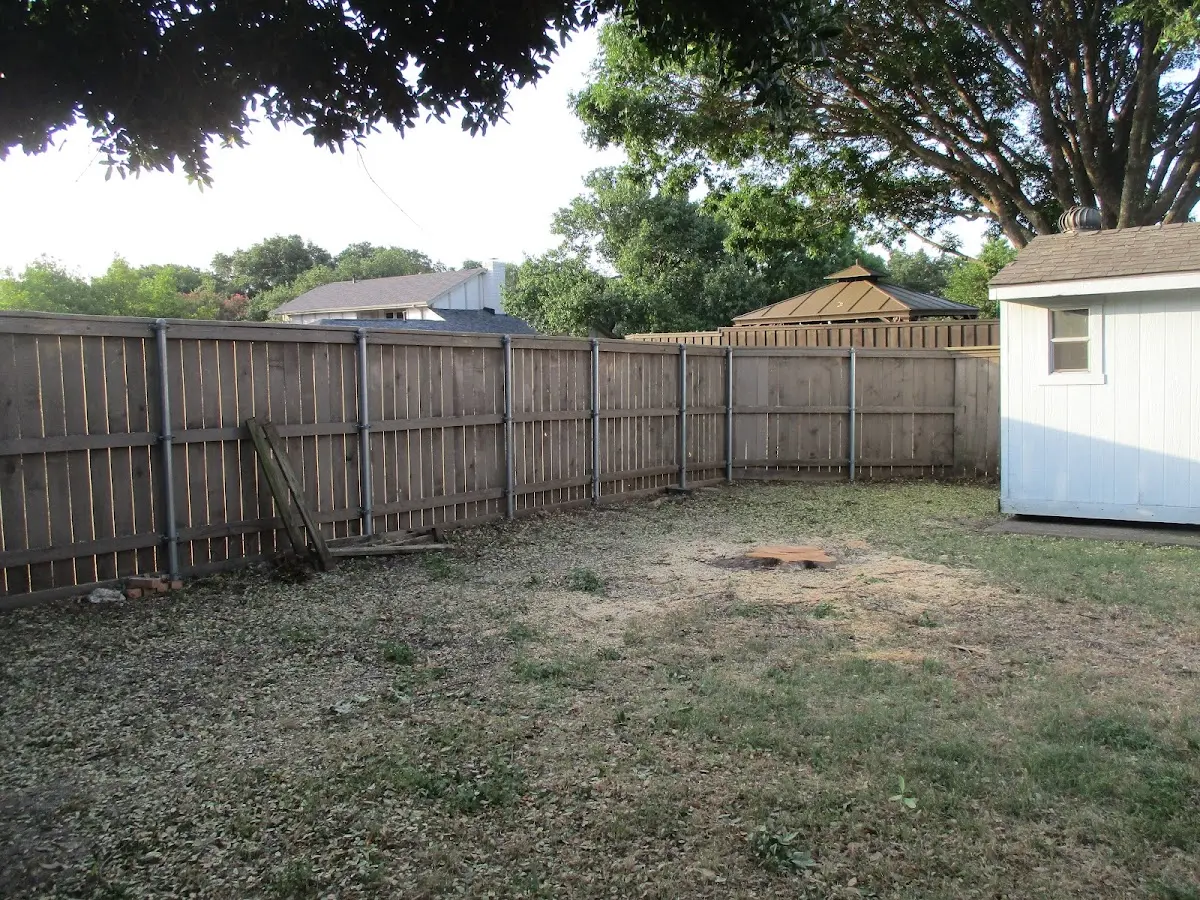 Cleared yard after professional tree removal in Swink